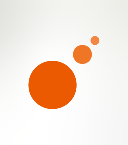 ORION SANTE<br> Charte graphique