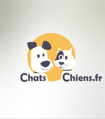Chats-Chiens.fr <br> Identité & site 