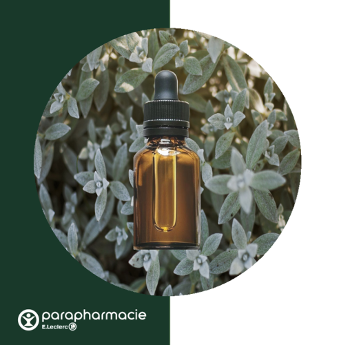 Parapharmacie LECLERC<br> Animation, illustrations et intégration